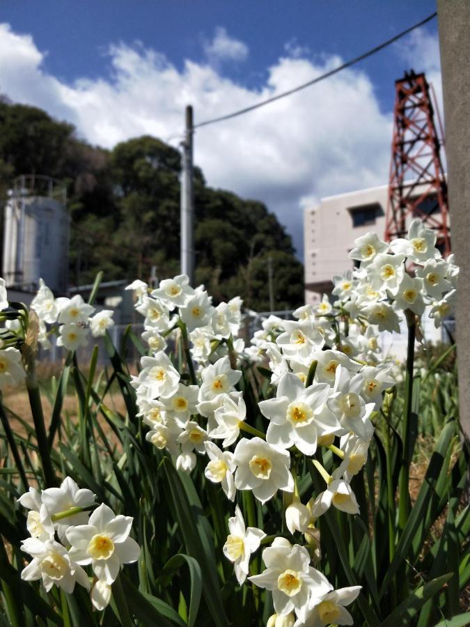 Izu Shirada Villa 伊豆白田家 هيغاشيزو المظهر الخارجي الصورة