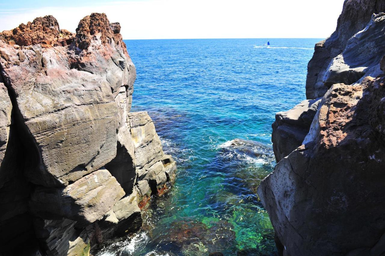 Izu Shirada Villa 伊豆白田家 هيغاشيزو المظهر الخارجي الصورة